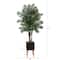 70" Areca Palm Tree in Black Planter with Stand